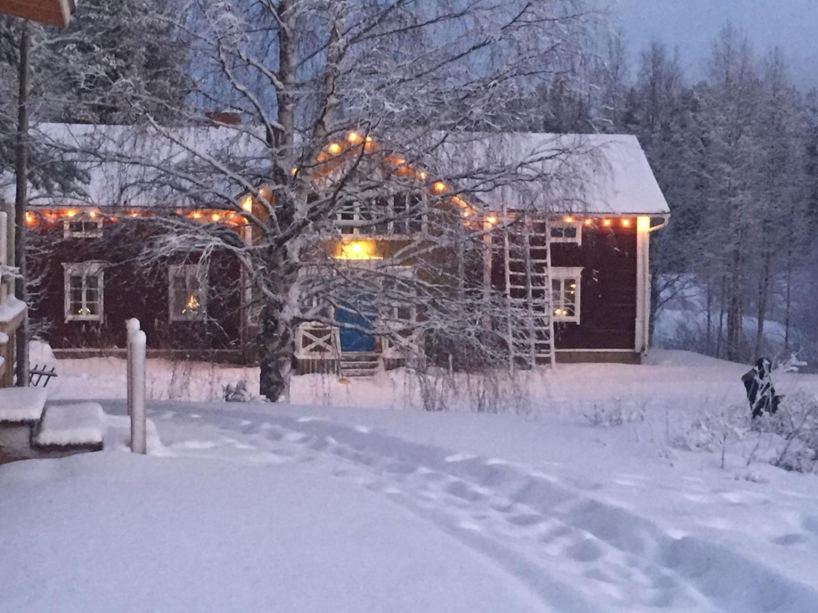 Korvala Log Cabins ภายนอก รูปภาพ